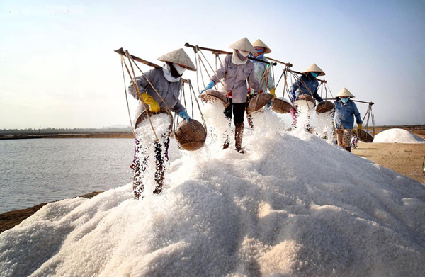 Nha Trang Sunrise Salt Field Photo Tour
