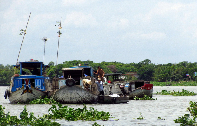 tiket masuk floating market 2019 Mekong Delta Cai Be 3 Day Tour